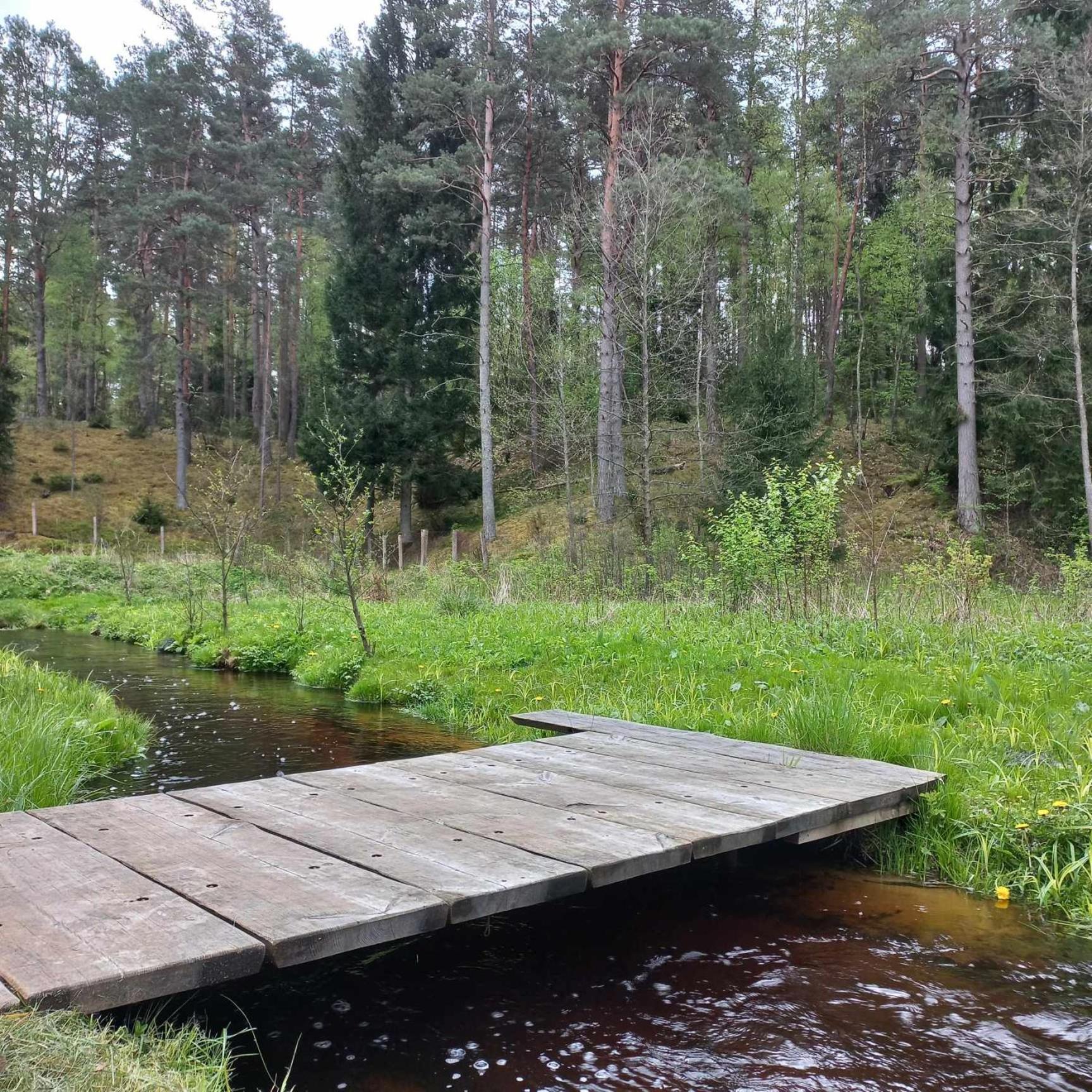 Poilsio namai Ramintos Misko Namelis
